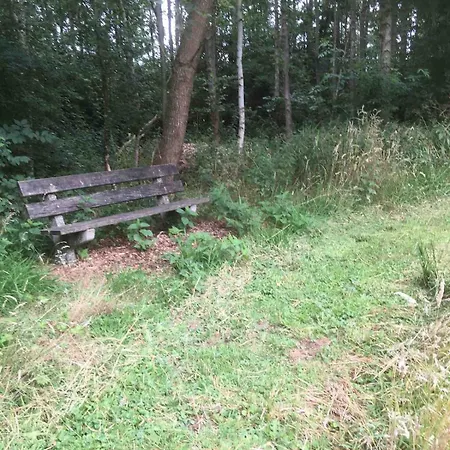 For A Wonderful Outdoor Feeling! Holiday home Zelhem