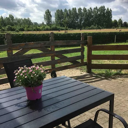 For A Wonderful Outdoor Feeling! * Zelhem