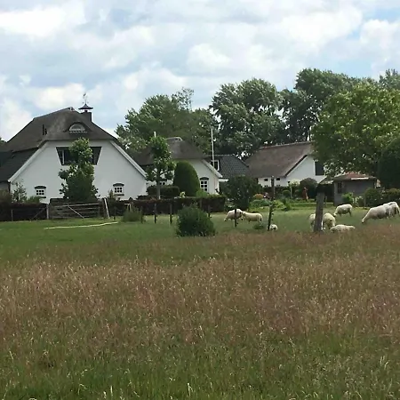 Holiday home For A Wonderful Outdoor Feeling! Zelhem